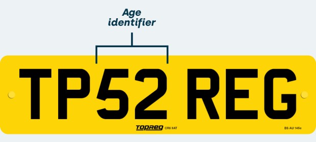 Current style plate age identifiers